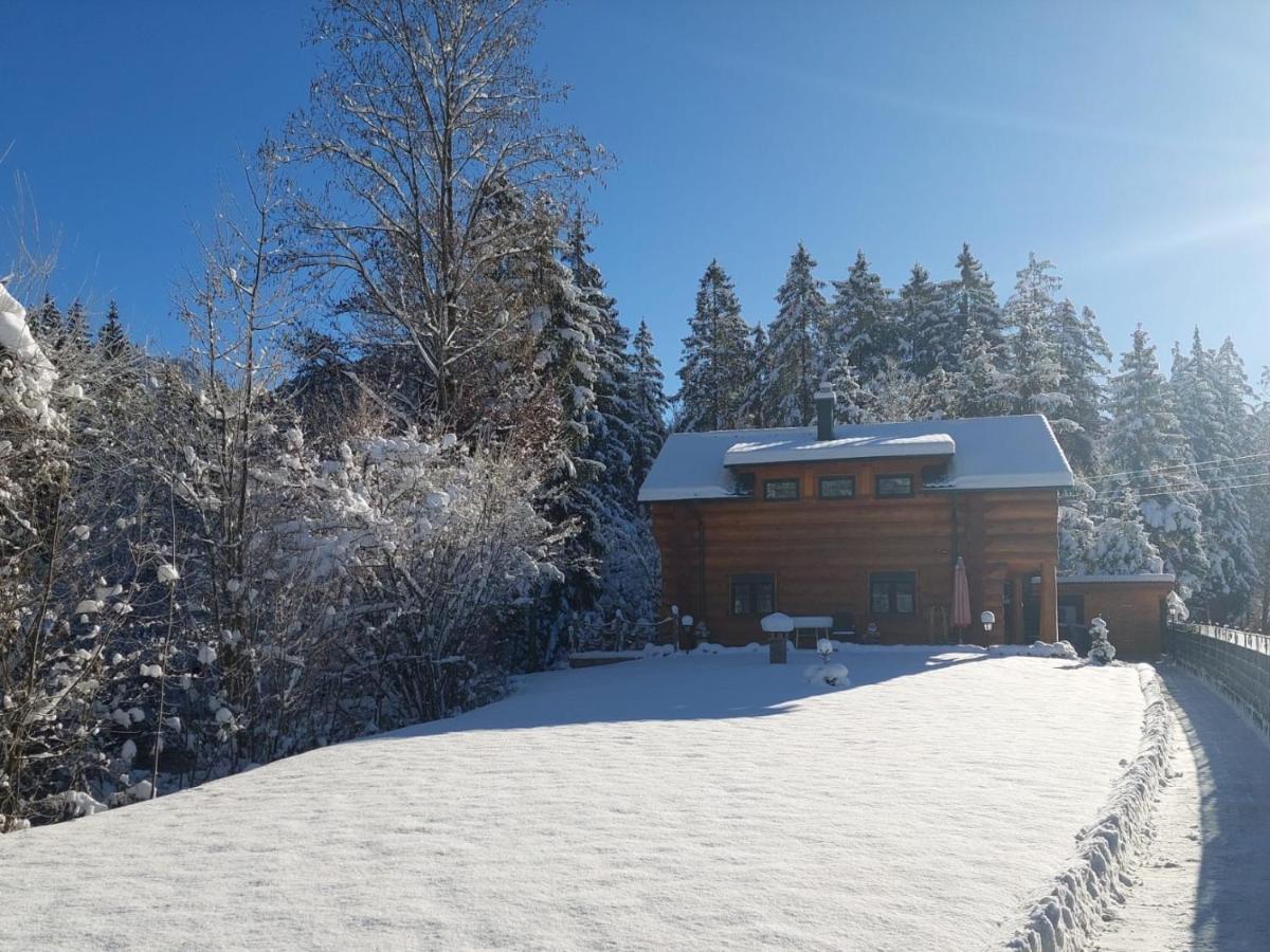Ferienwohnungen Blockhaus - Zwergenhaeusl Grünau im Almtal Exterior foto