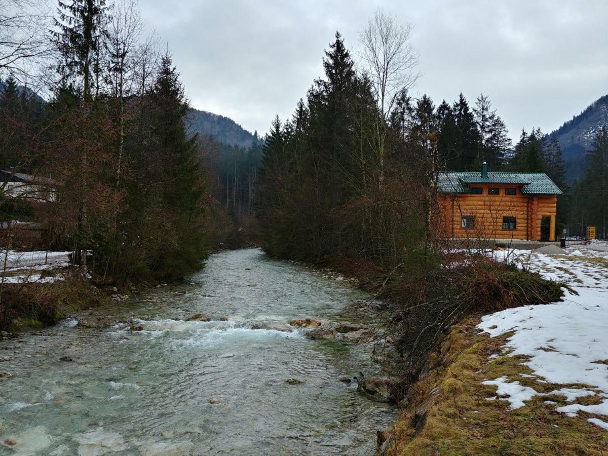 Ferienwohnungen Blockhaus - Zwergenhaeusl Grünau im Almtal Exterior foto