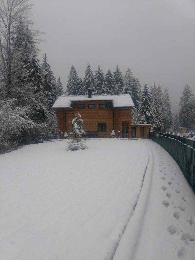 Ferienwohnungen Blockhaus - Zwergenhaeusl Grünau im Almtal Exterior foto